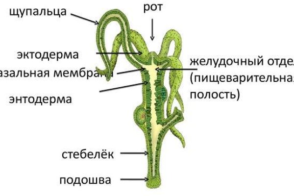 Mega вы забанены