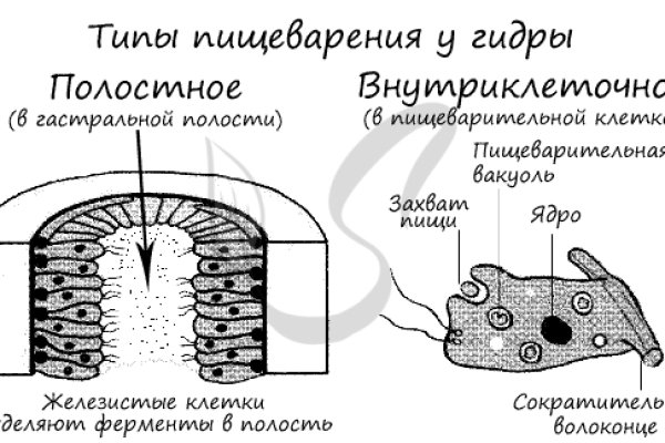 Нова ссылка кракена