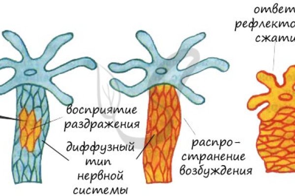 Не работает мега через тор