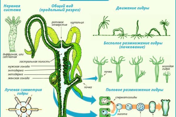 BlackSprut магазин наркотиков